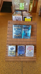 20160201_111854_resized_1